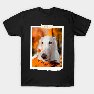 borzoi photo T-Shirt